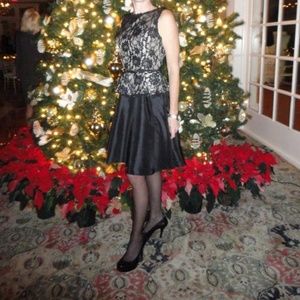 Jessica Howard lace and moire dress- worn once